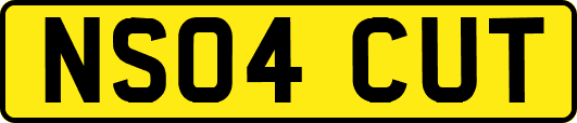 NS04CUT