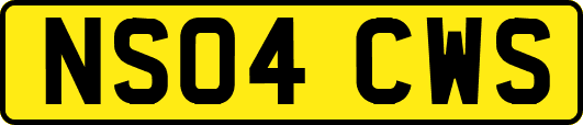 NS04CWS