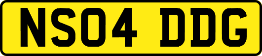 NS04DDG