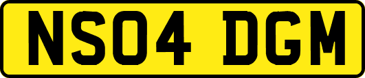 NS04DGM