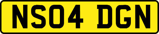 NS04DGN