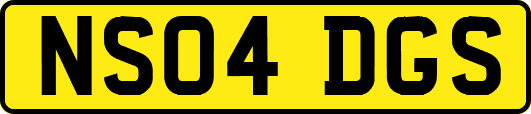 NS04DGS