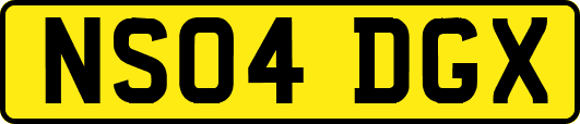 NS04DGX