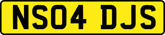 NS04DJS