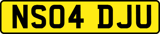 NS04DJU