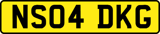 NS04DKG