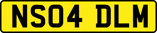 NS04DLM