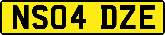 NS04DZE