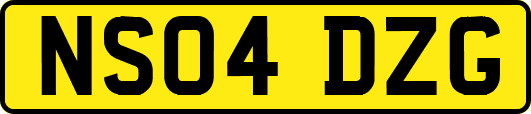 NS04DZG