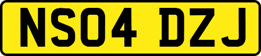 NS04DZJ
