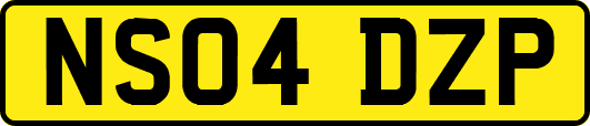 NS04DZP