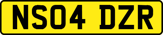 NS04DZR