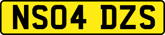 NS04DZS