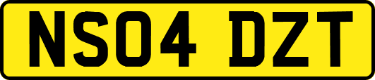 NS04DZT