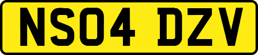NS04DZV