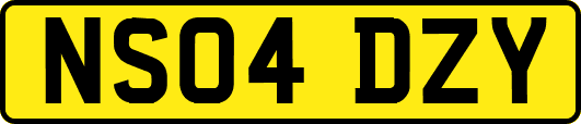 NS04DZY