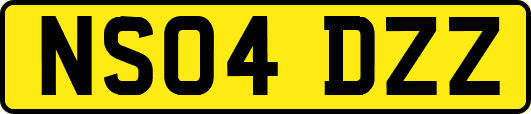 NS04DZZ