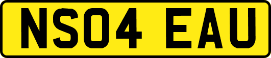 NS04EAU