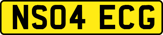 NS04ECG