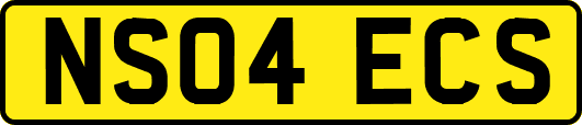NS04ECS