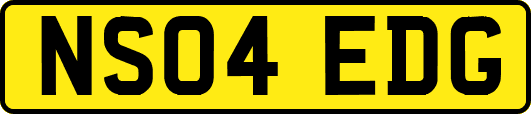 NS04EDG