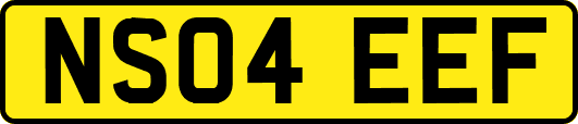 NS04EEF