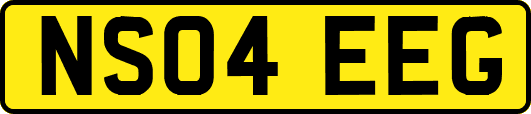 NS04EEG