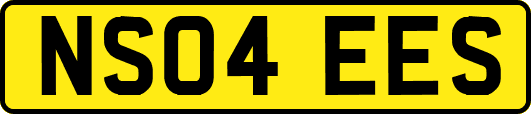 NS04EES