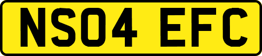 NS04EFC