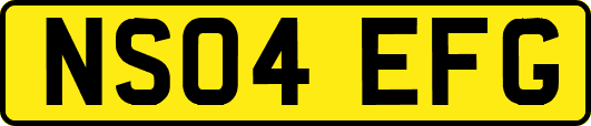 NS04EFG