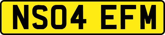 NS04EFM