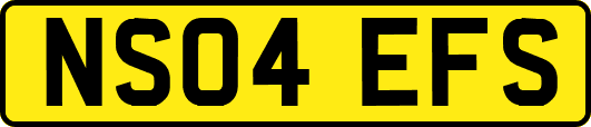 NS04EFS