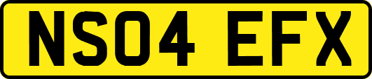 NS04EFX