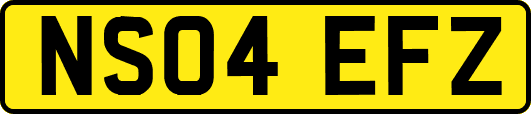 NS04EFZ
