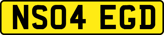 NS04EGD