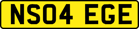 NS04EGE