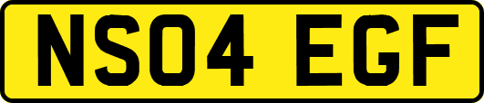 NS04EGF