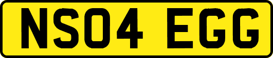 NS04EGG