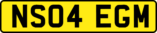 NS04EGM