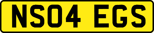 NS04EGS