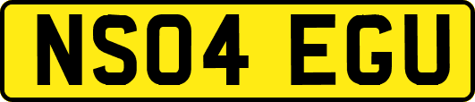 NS04EGU