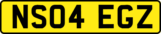 NS04EGZ