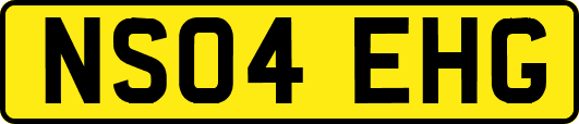 NS04EHG