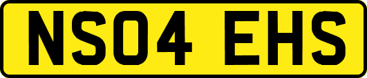 NS04EHS