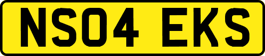 NS04EKS