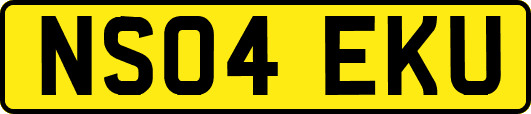 NS04EKU