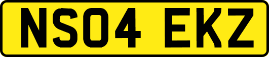 NS04EKZ