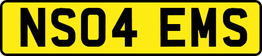 NS04EMS