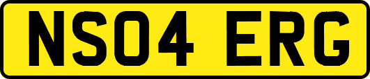 NS04ERG