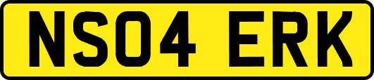 NS04ERK